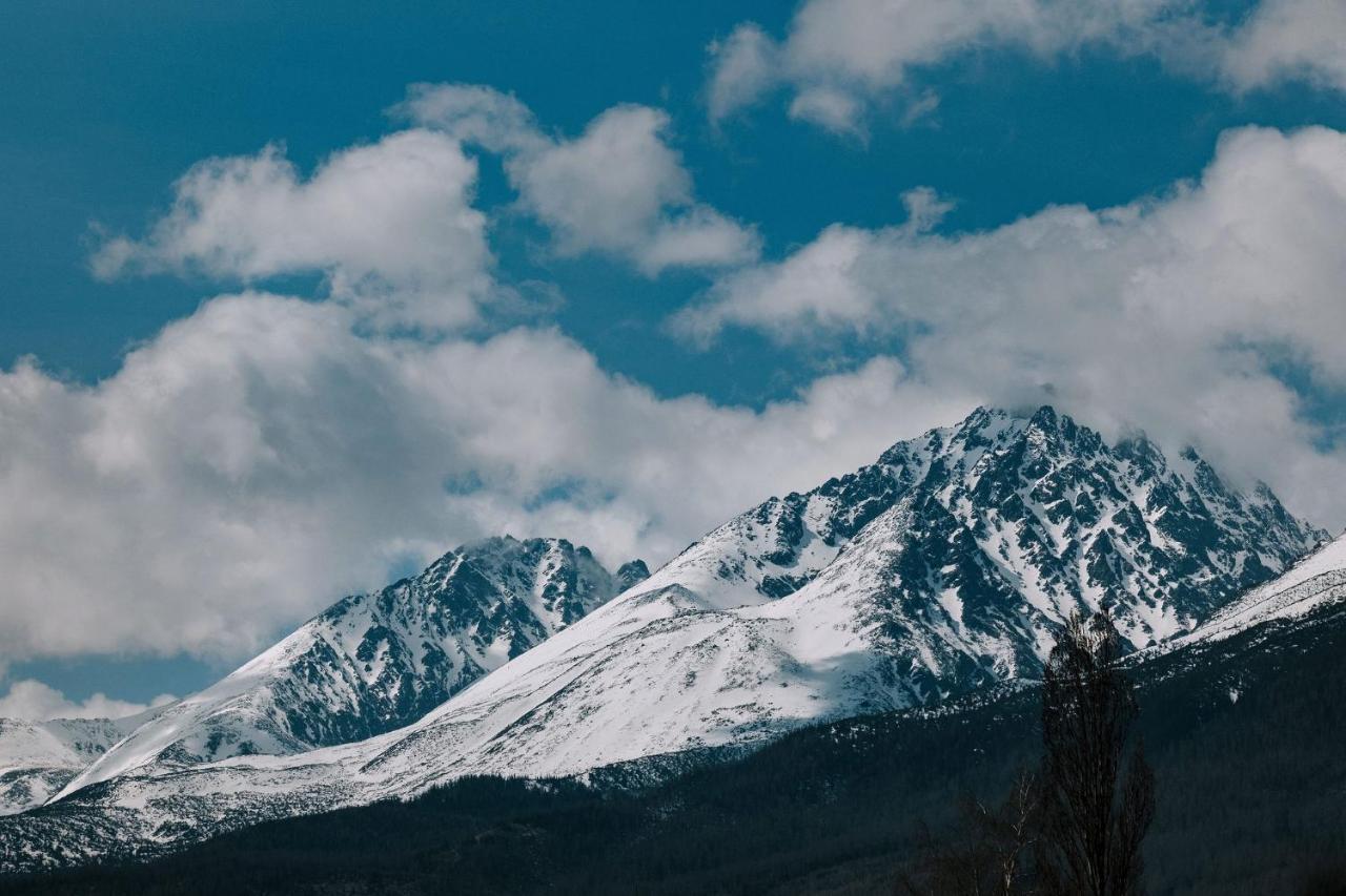 Villa Greystone Vysoké Tatry Dış mekan fotoğraf